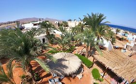 Miramar Camp Dahab